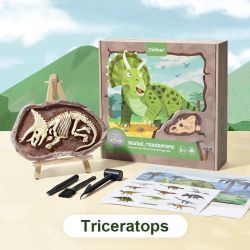 Fouilles de dinosaures – Tricératops